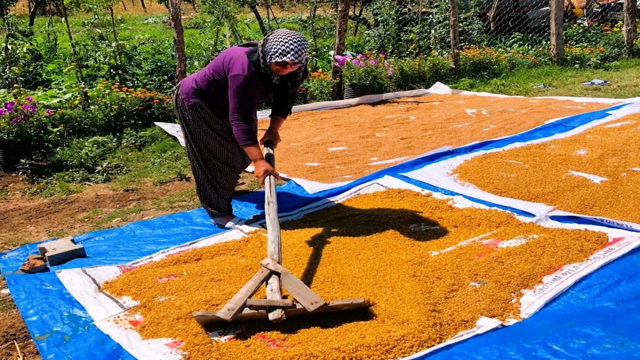 Kahramanmaraşta kışlık telaşı