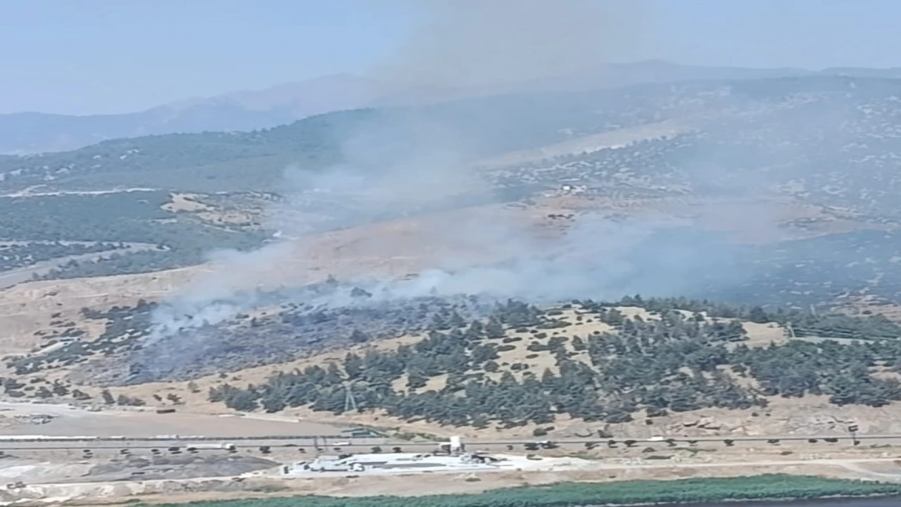 Kahramanmaraşta orman yangını
