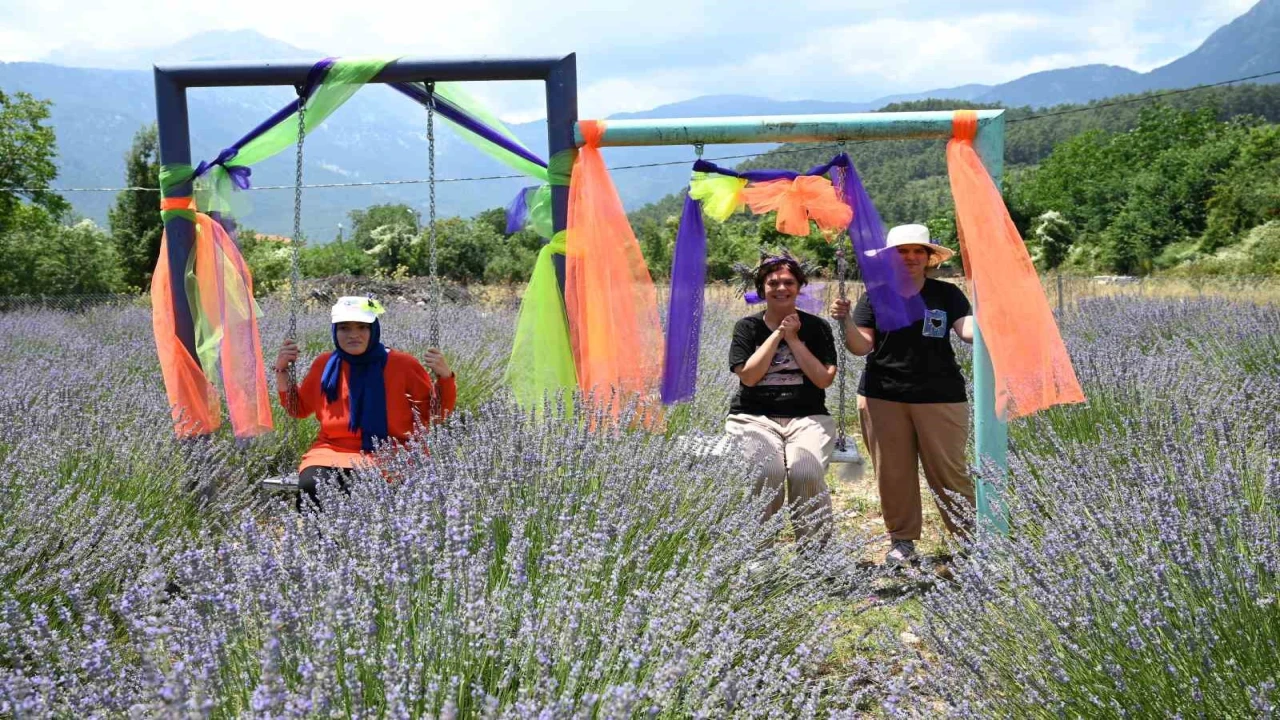 Kemerde Mor turizm başlıyor