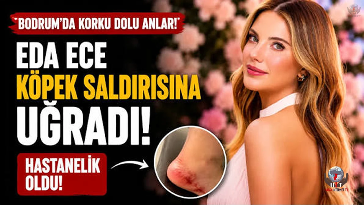 Köpek saldırısına uğrayan Eda Ece hastanelik oldu