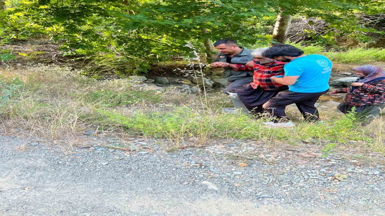 Kozanda kayalıklardan düşen şahsı orman ekipleri kurtardı