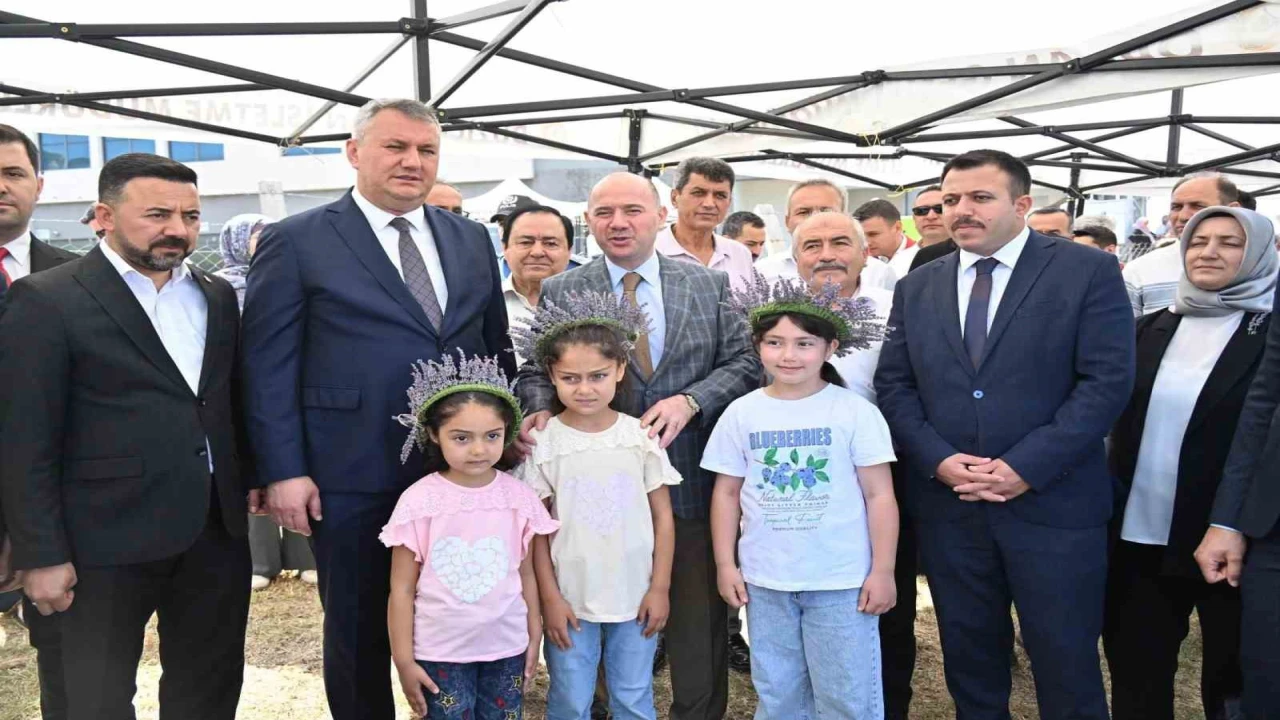 Lavanta hasadının bereketi Uygara umut olacak