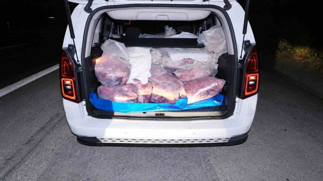 Mersinde 877 kilogram kaçak sakatat ele geçirildi
