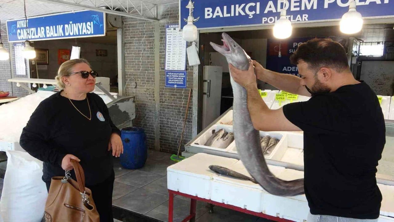 Mersinde dev yılan balığı tezgahta ilgi odağı oldu