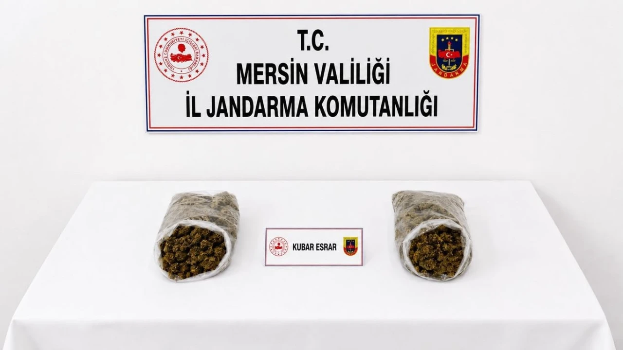 Mersinde jandarmadan uyuşturucu operasyonu: 2 tutuklama