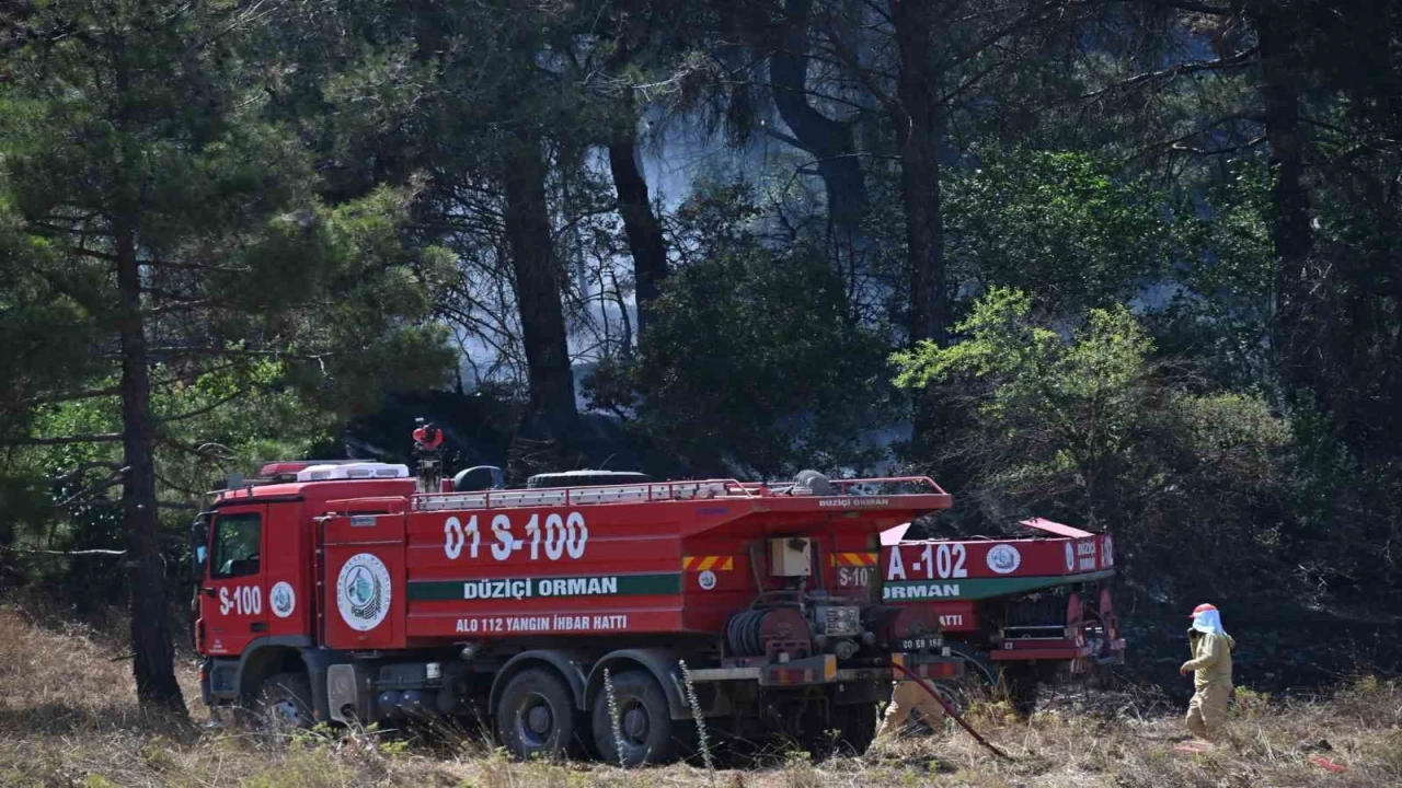 Osmaniyede orman yangını kontrol altına alındı, soğutma çalışmaları sürüyor