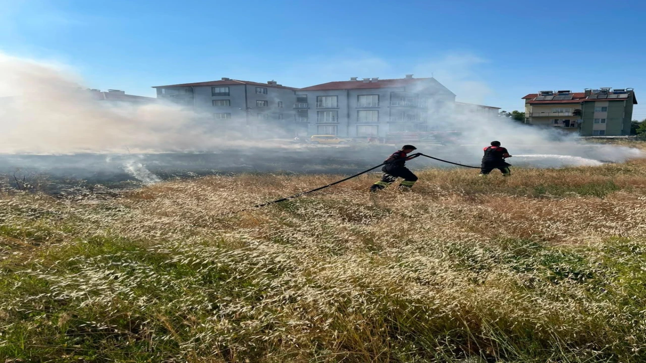 Rüzgarın etkisiyle büyüyen ot yangını evlere ulaşmadan söndürüldü