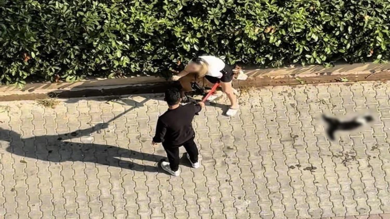 Adanada kediyi parçalayan pitbullun sahibine 95 bin lira ceza