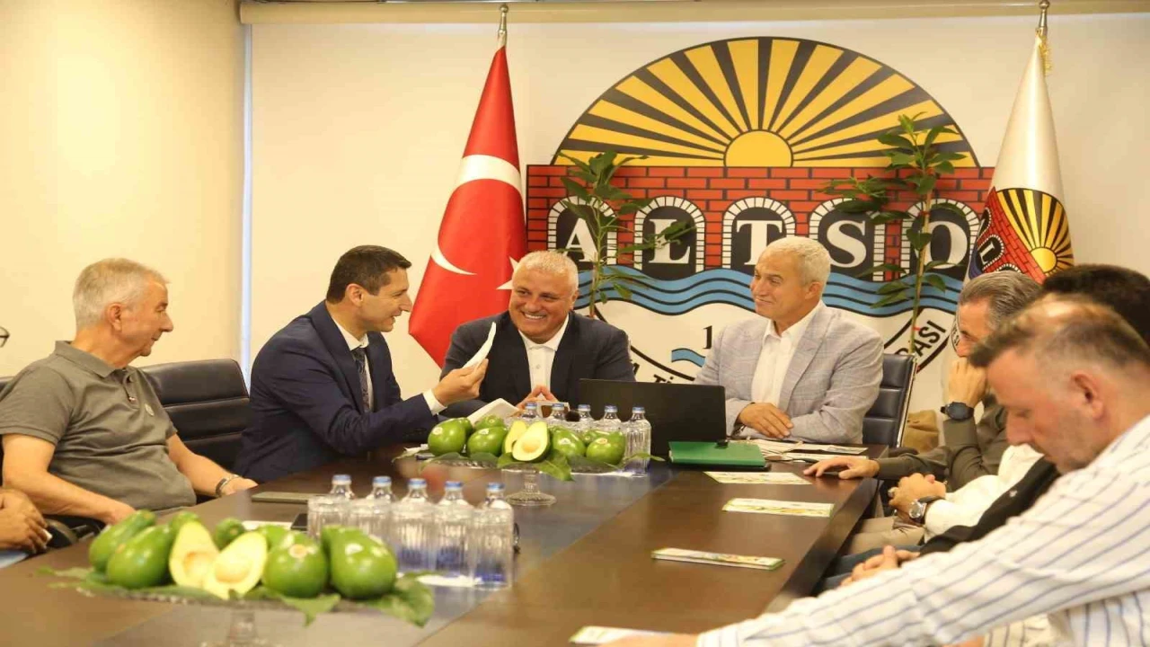 Alanya avokadosunun Avrupa Birliği coğrafi işaret başvurusu gerçekleştirildi