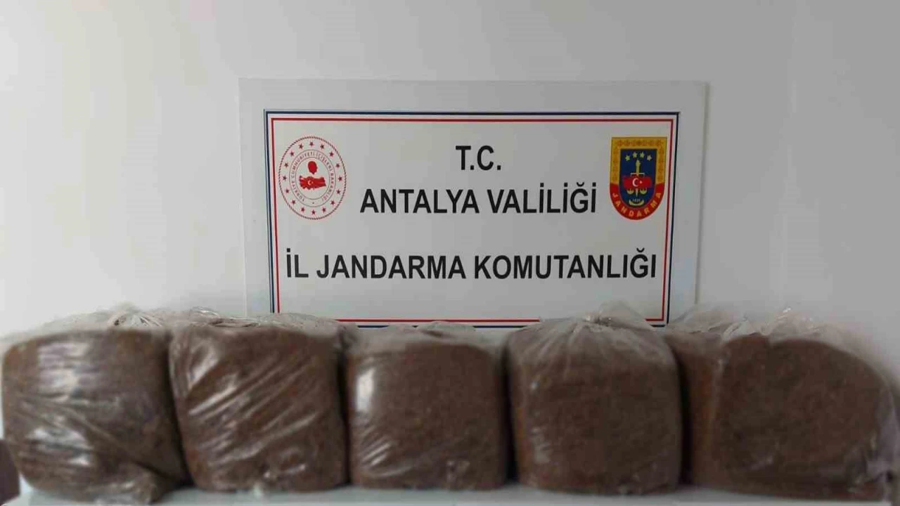 Alanya ve Demrede 285 kilo kaçak tütün ele geçirildi