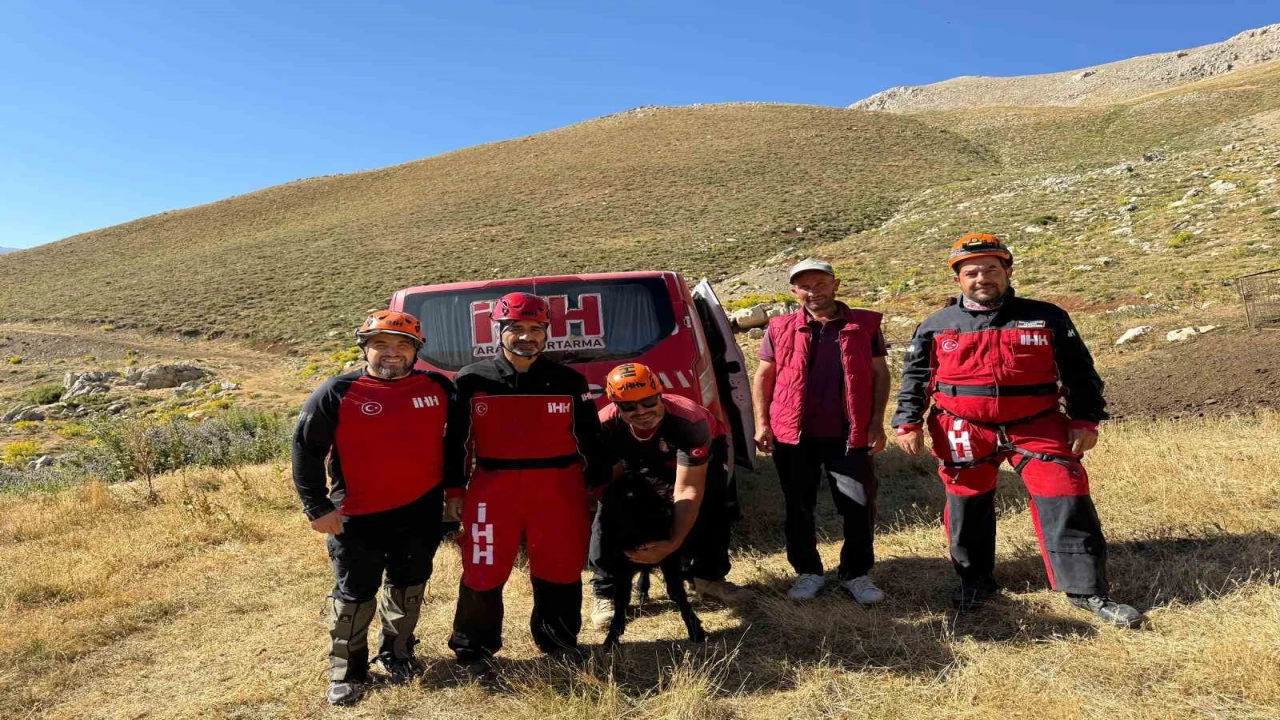 Alanyada dağlık alanda mahsur kalan keçi kurtarıldı