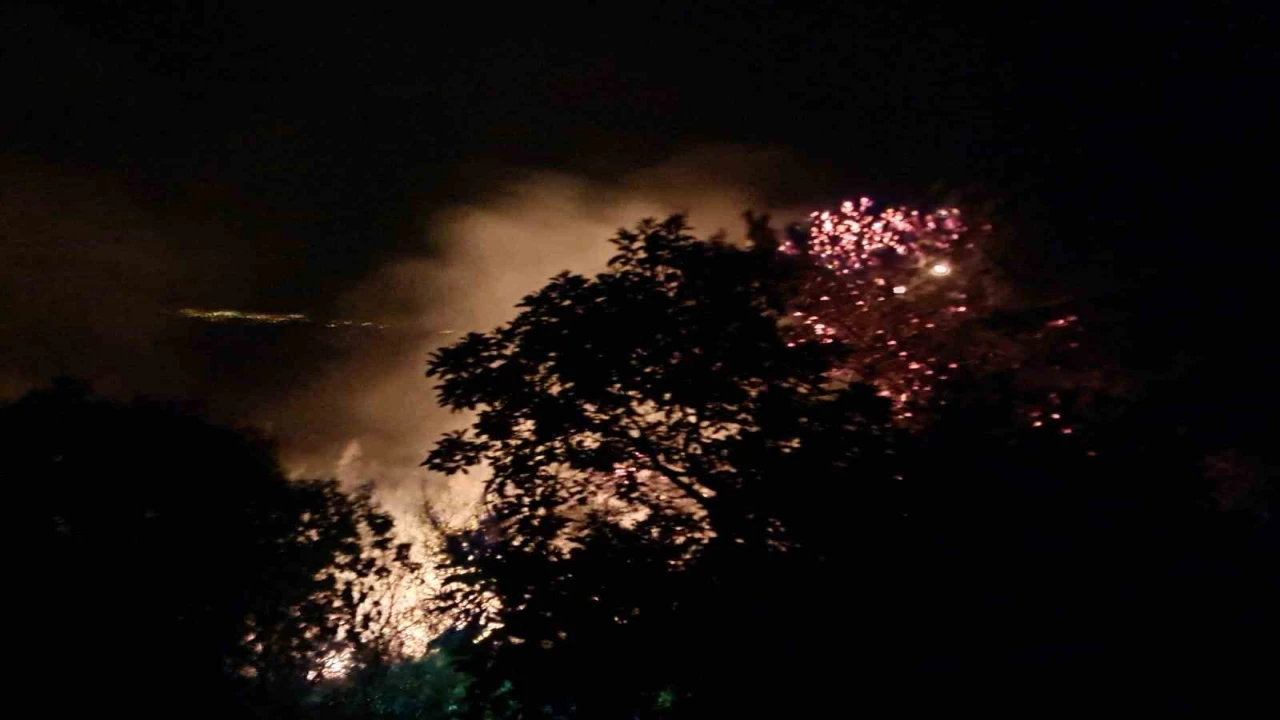 Alanyada gece saatlerinde çıkan orman yangını kontrol altına alındı