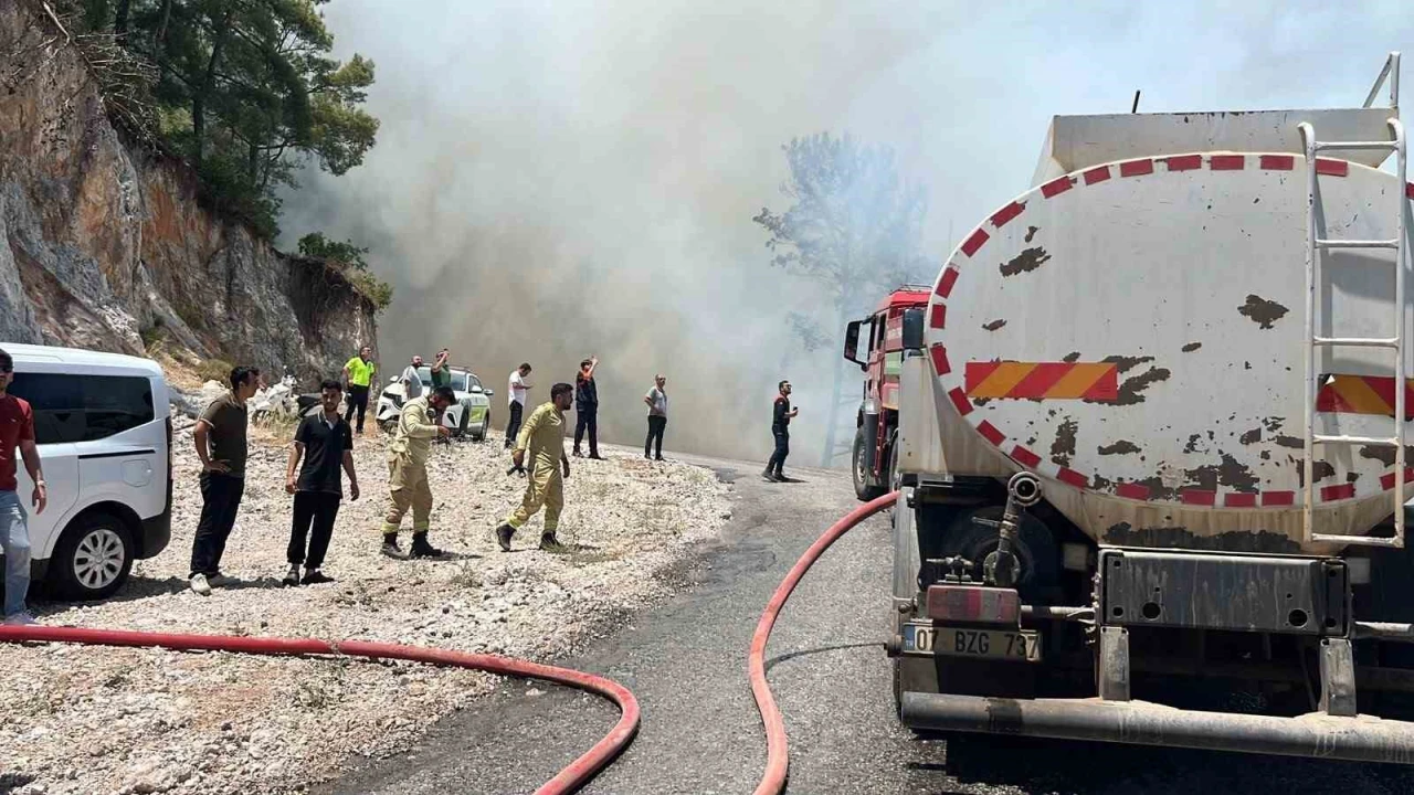 Alanyada orman yangını