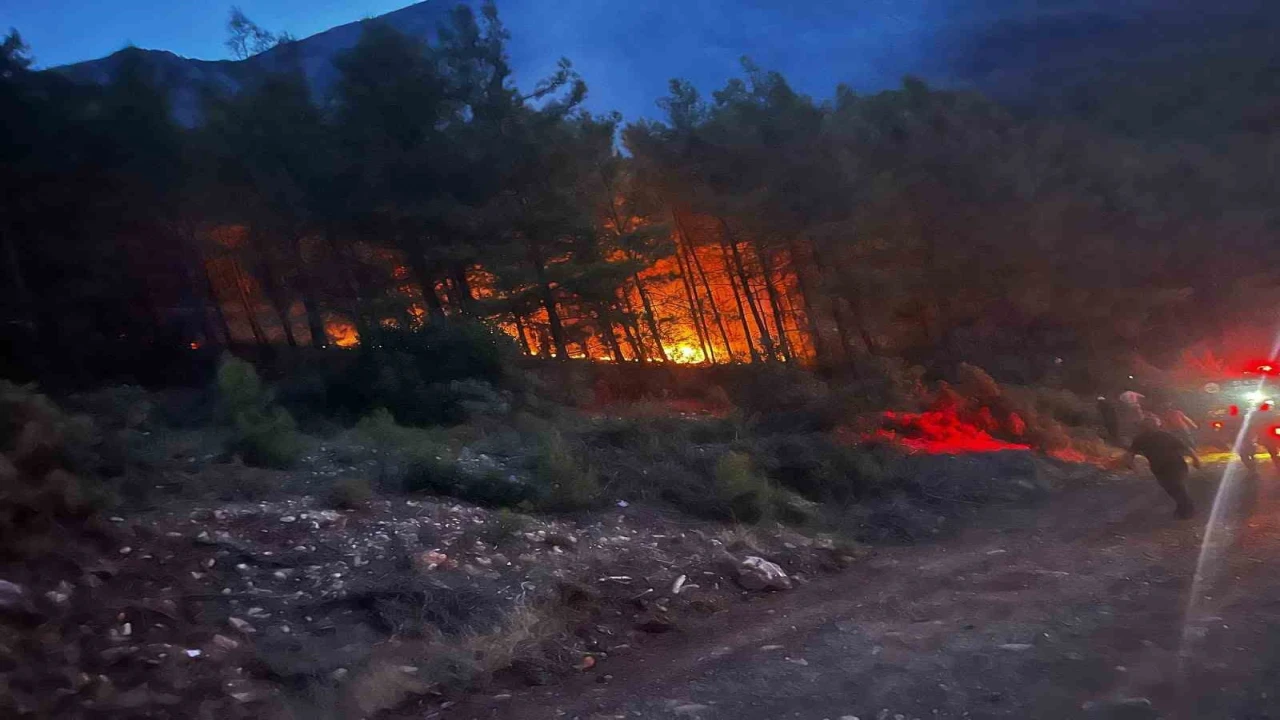 Alanyada ormanlık alanda çıkan yangın kontrol altına alındı