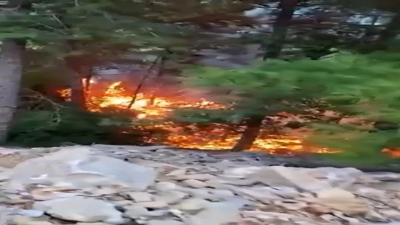 Alanyada yıldırımın düşmesiyle yangın çıktı: 1 dönüm alan zarar gördü