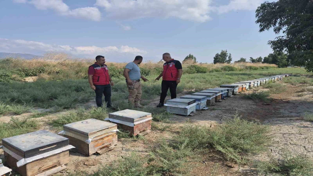 Antakyada arıcılar bal sağımını sürdürüyor