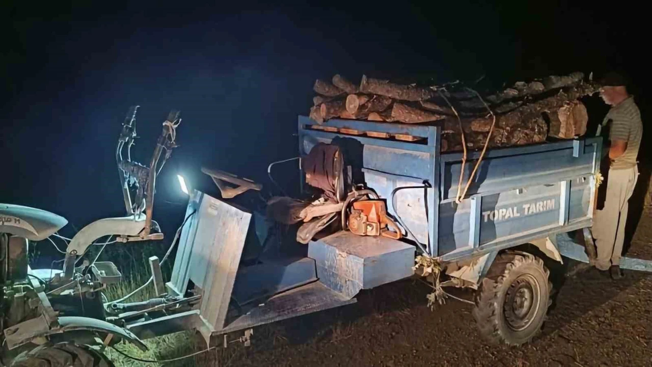 Antakyada ormanda usulsüz kesim yapan şahıslar yakalandı