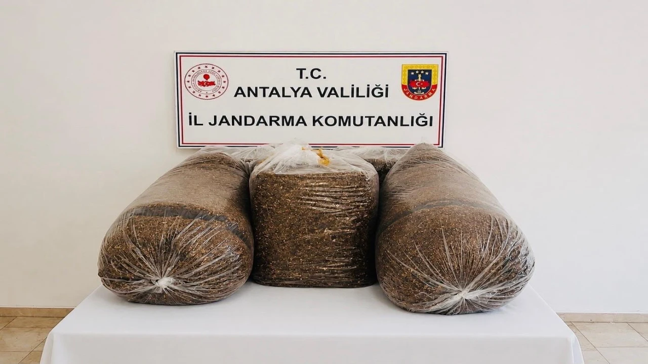 Antalyada kaçak tütün operasyonunda 365 kilo tütün ele geçirildi