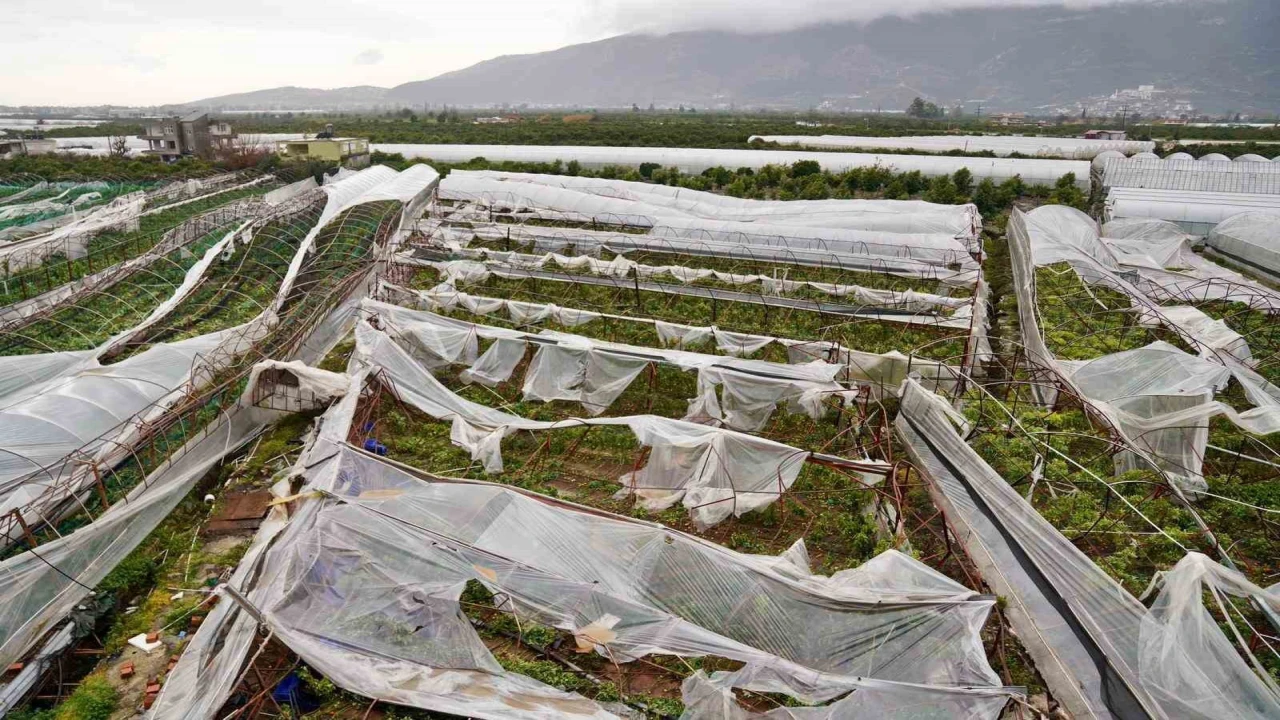Antalyada üreticilere 1 yılda 657 bin 400 metrekare sera naylonu hibe edildi
