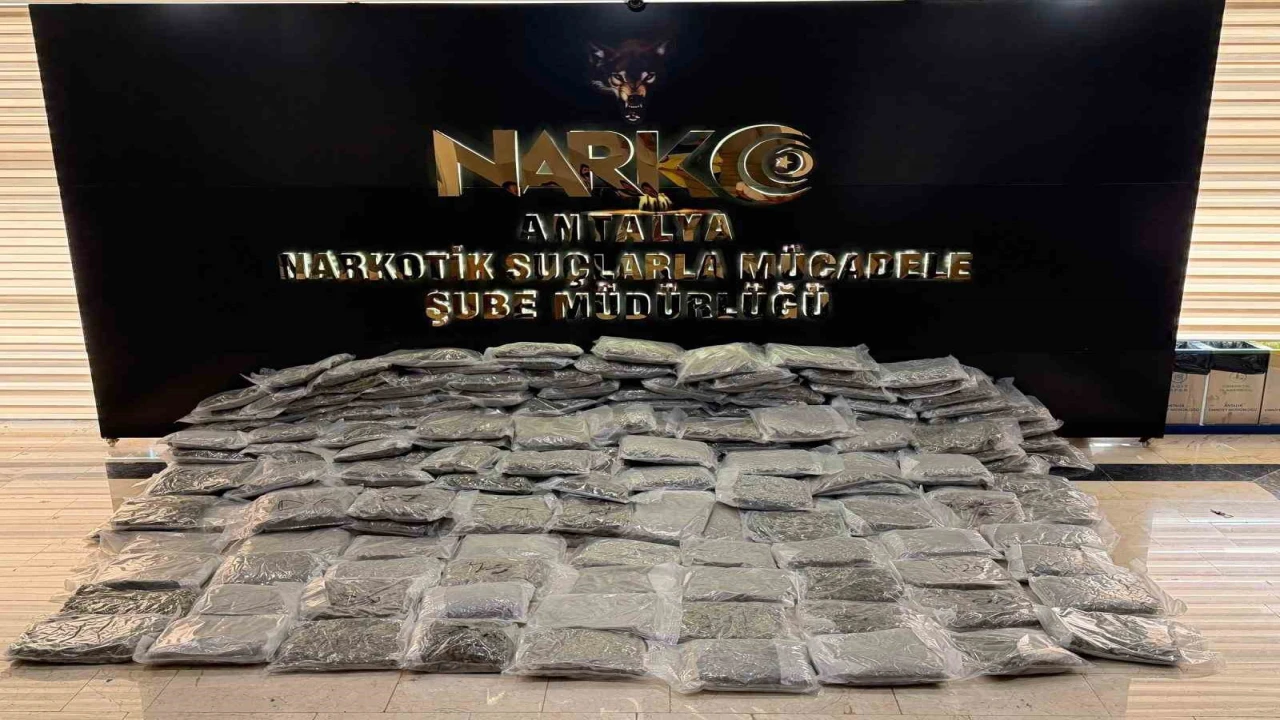 Antalyada uyuşturucu operasyonu: 250 kilogram esrar ele geçirildi