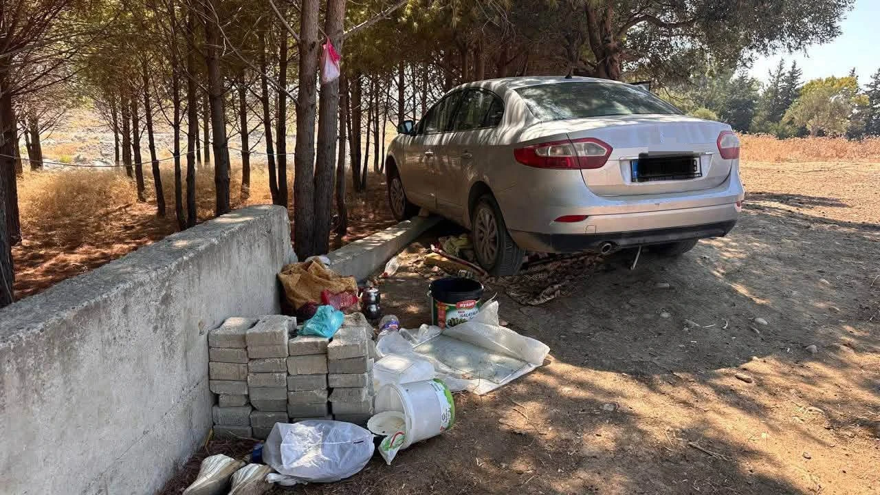 Arsuzda ağaca çarpan otomobilin sürücüsü yaralandı