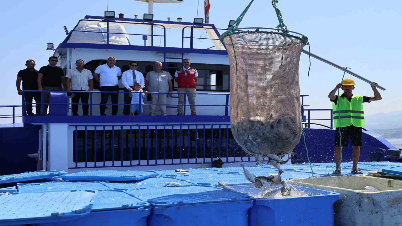 Arsuzda üretilen balıklar Avrupaya ihraç ediliyor