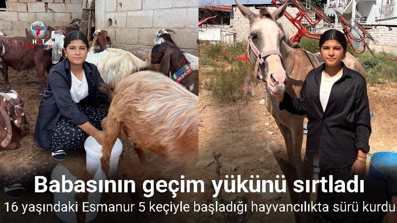 Babasına destek çıkmak için keçi besleyip hayvan ticareti yapmaya başladı