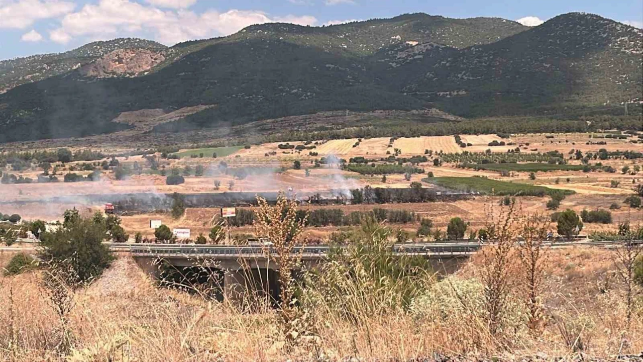 Burdurda 20 dönümlük otluk alanda yangın