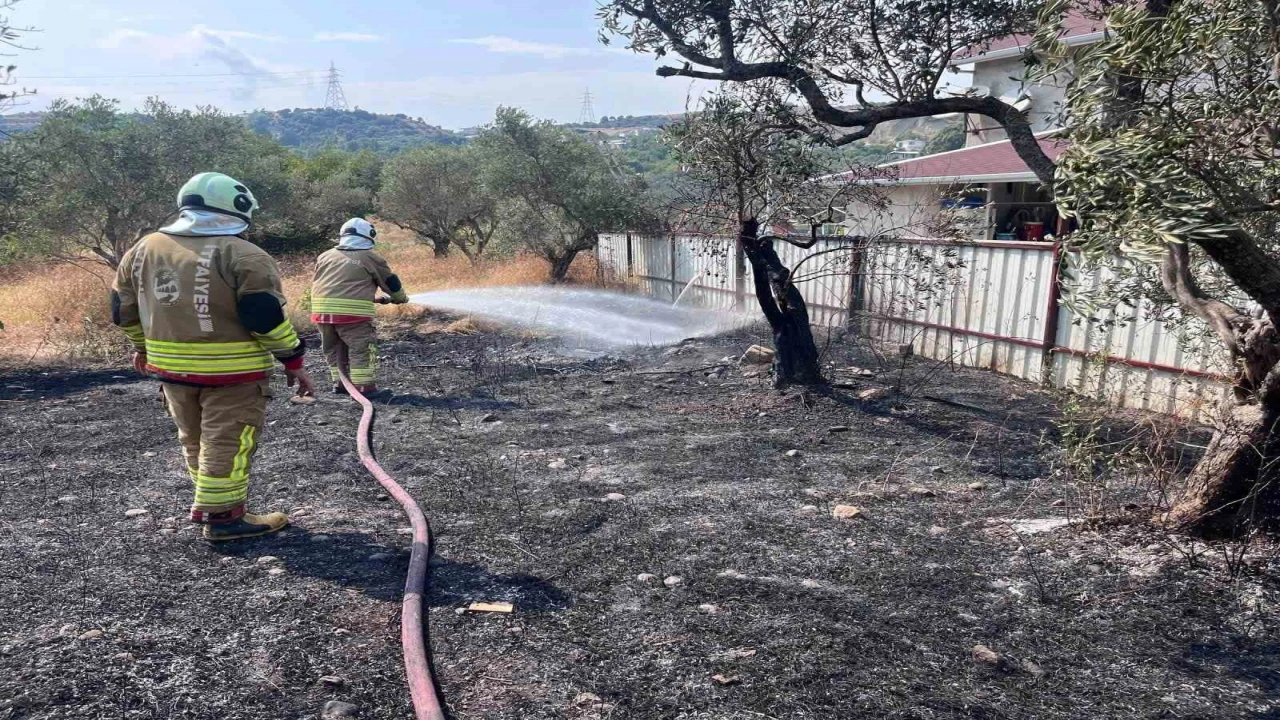 Defnede zeytinlik alanda yangın yaşandı