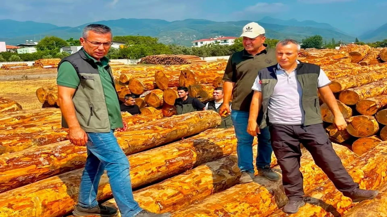 Dörtyolda orman işletmesinin çalışmaları değerlendirildi