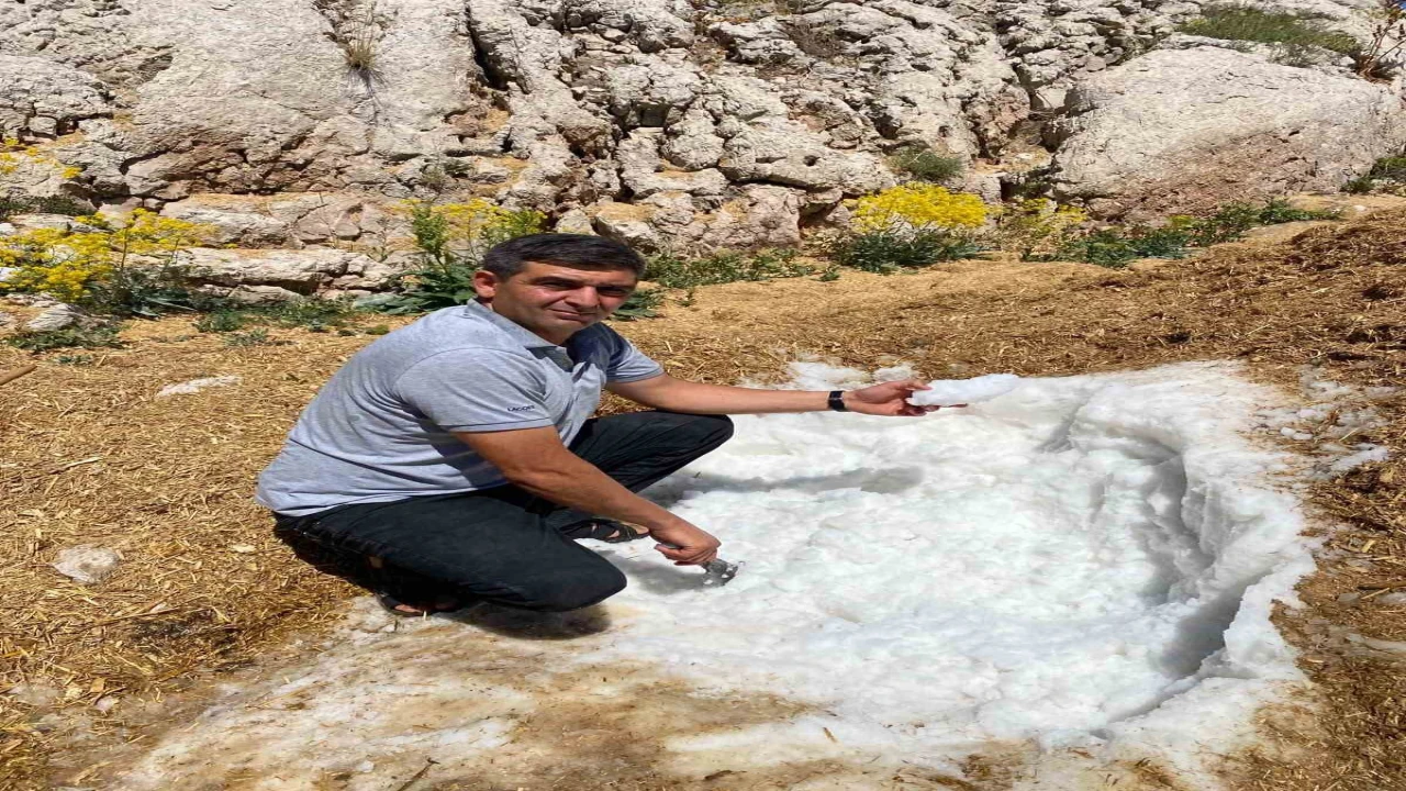 Elbistanda yaz sıcağına karşı asırlık kar geleneği