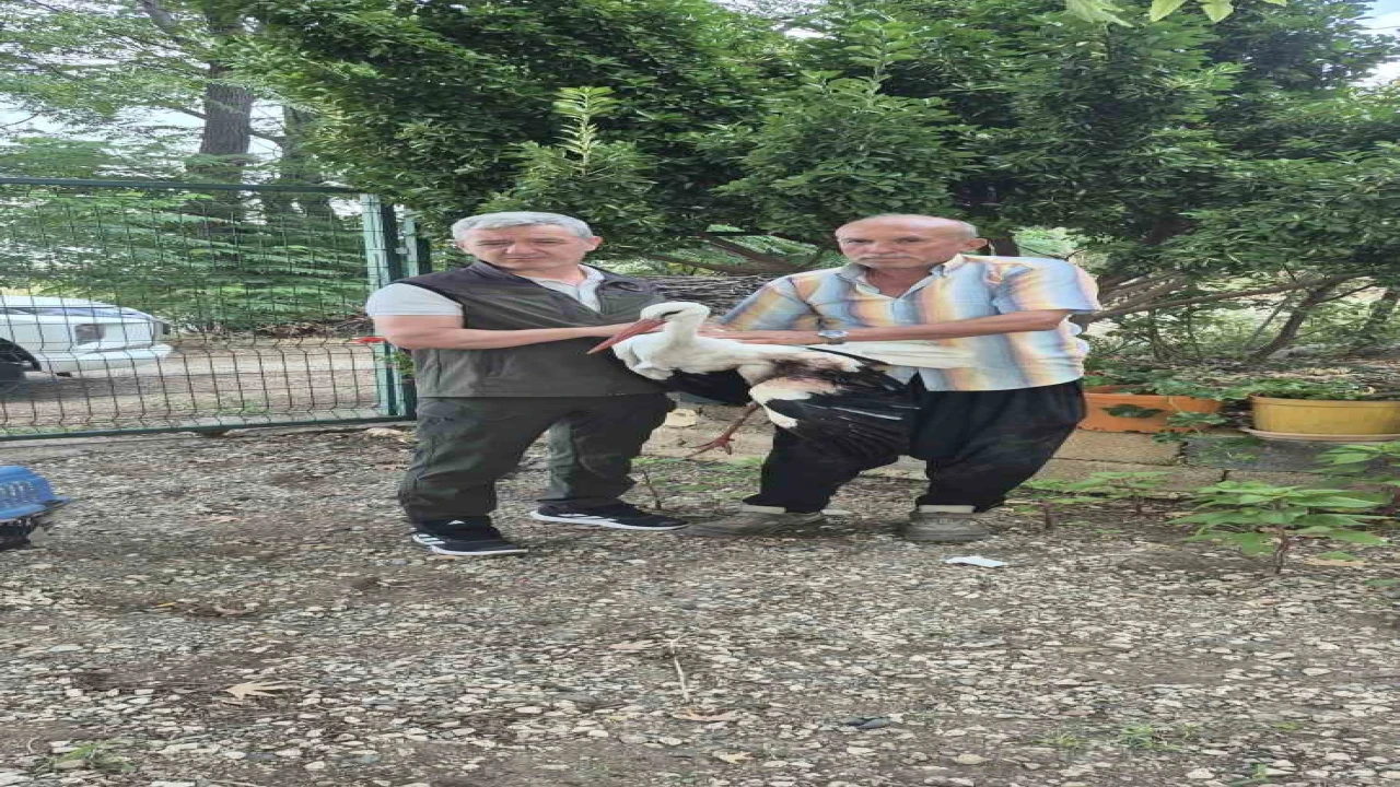 Evinin önüne gelen yaralı leyleğe sahip çıktı