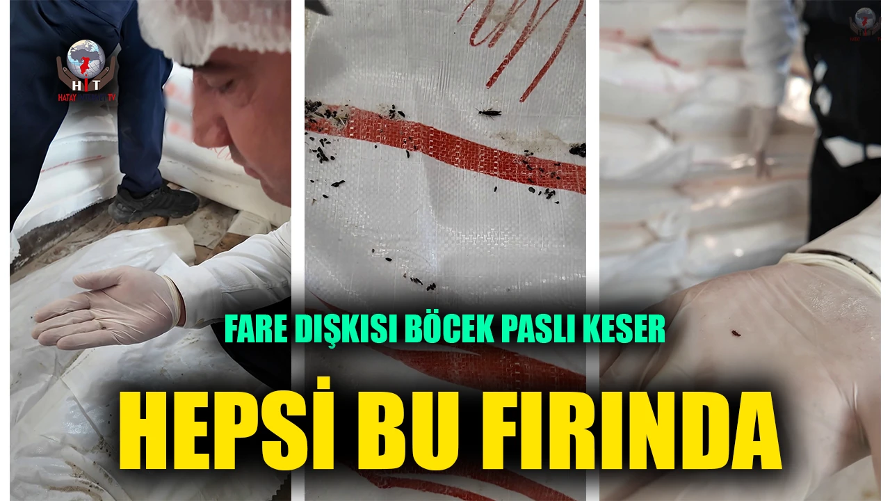 Fare dışkısından ve böcekten geçilmeyen fırındaki dondurucudan paslı keser çıktı