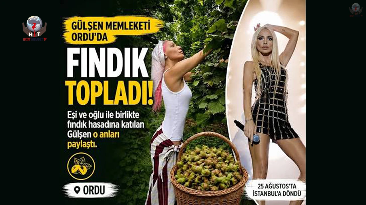 Gülşen memleketi Ordu'da fındık topladı!