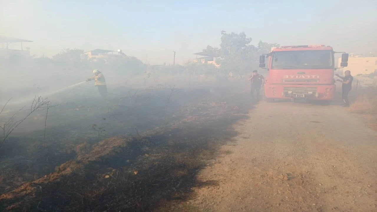 Hassada zeytinlik yangını yaşandı
