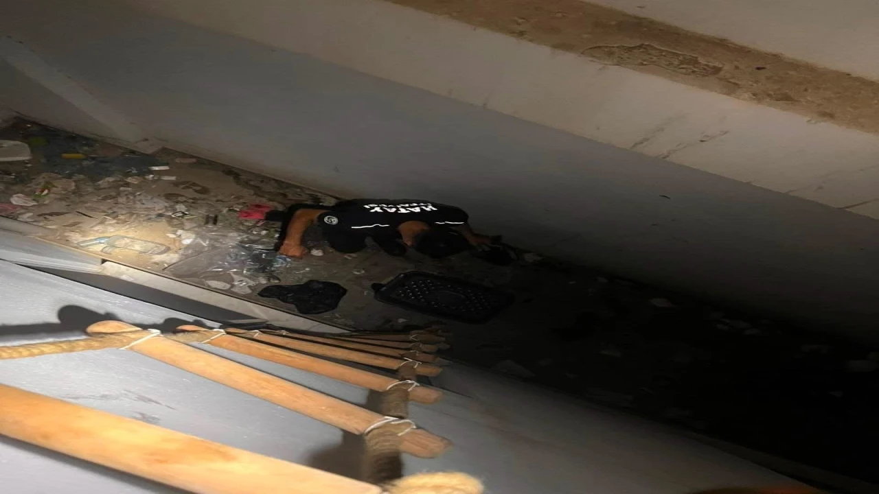Hatayda mahsur kalan hayvanlar kurtarıldı