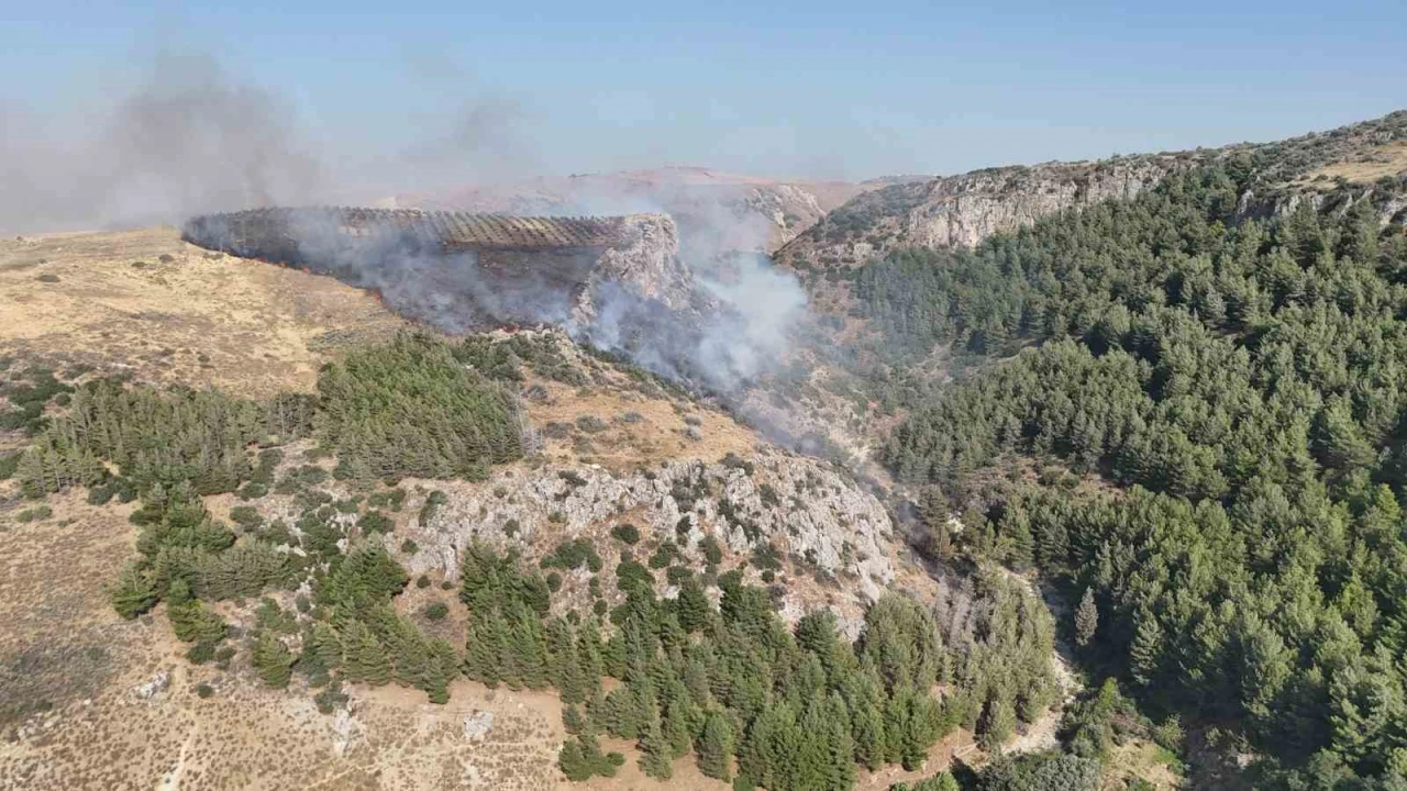 Hatayda orman yangını çıktı