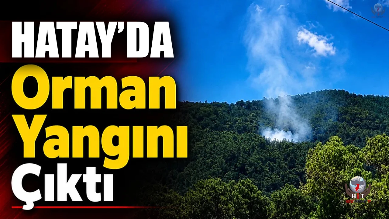 Hatayda orman yangını çıktı