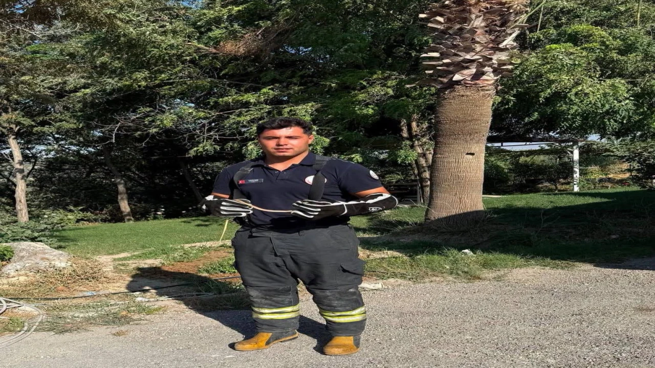 Hatayda yerleşim alanlarına giren yılanları itfaiye yakaladı