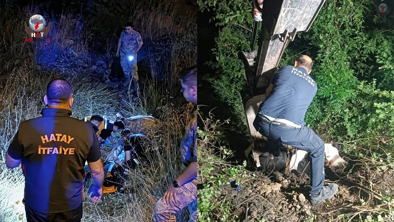 İskenderunda uçurumdan düşen inek iş makinesiyle kurtarıldı