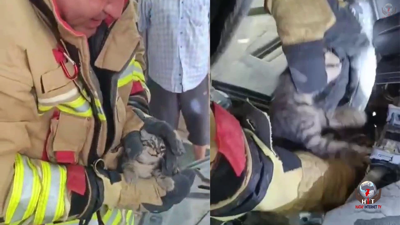 İtfaiyeciden kendini 1 saat uğraştıran yavru kediye yürek ısıtan karşılama