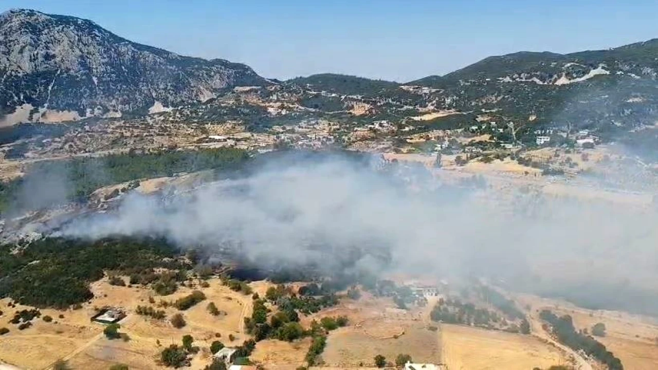 Kaşta çıkan ormanlık alan yangını 2,5 saatte kontrol altına alındı