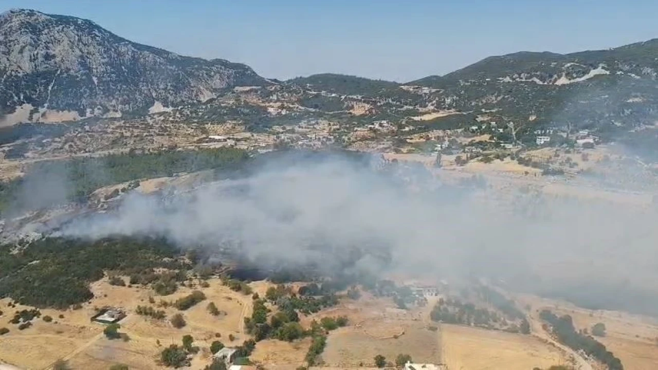 Kaşta ormanlık alanda yangın