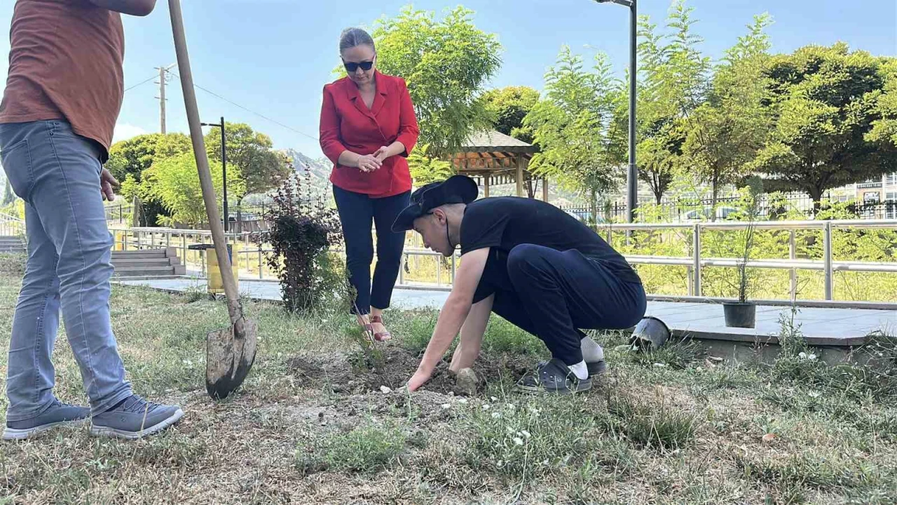 Konut dokunulmazlığını ihlal etti, adliye bahçesine 10 fidan dikti
