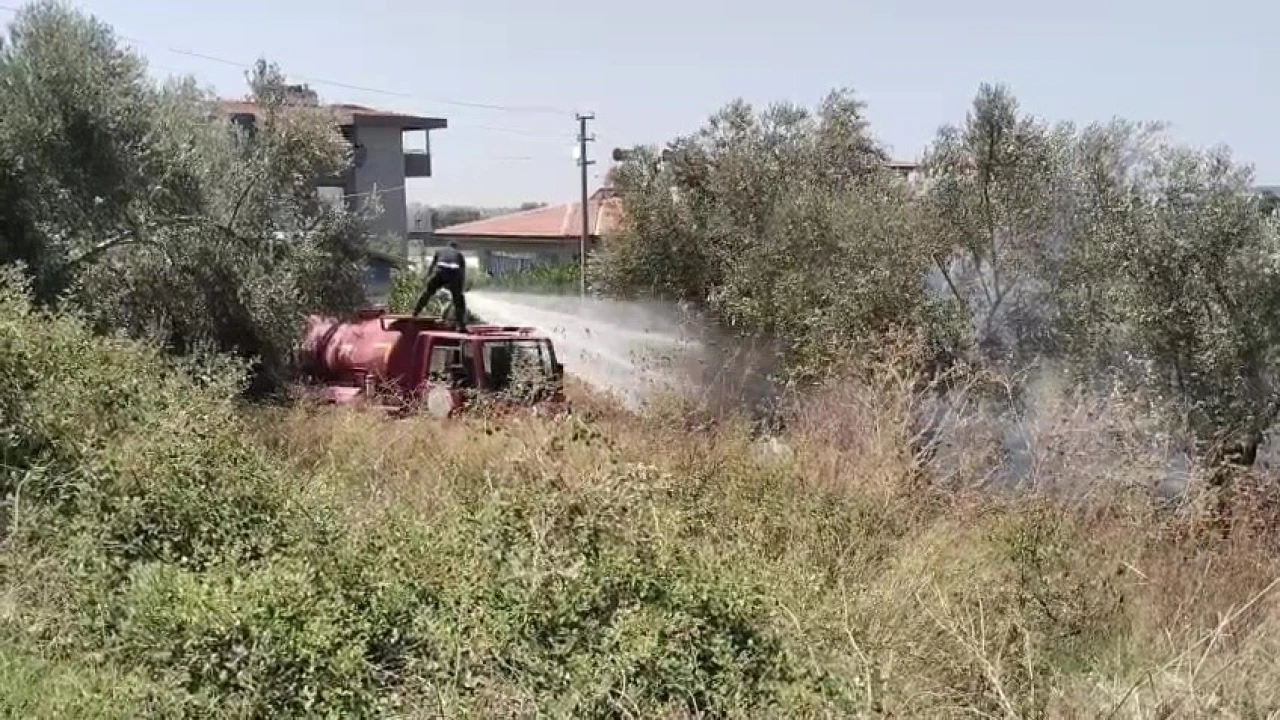 Manavgatta tarım arazisinde çıkan yangın söndürüldü
