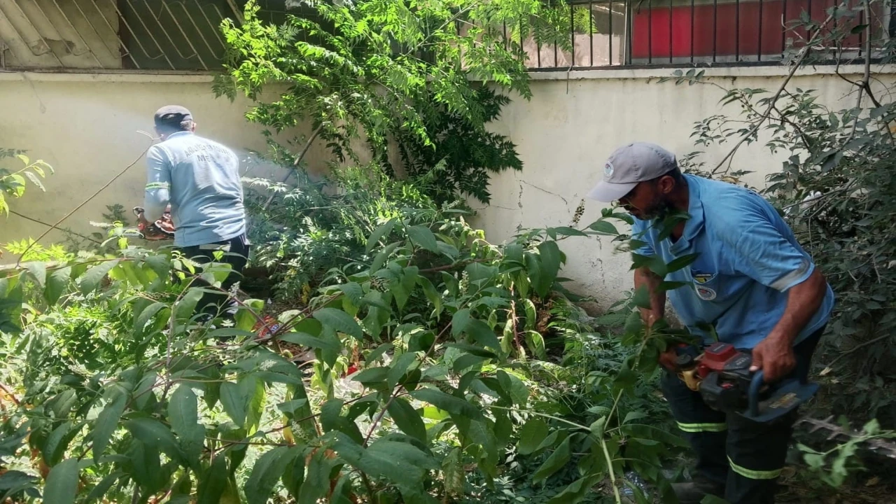 Mersin de park ve yeşil alanlarda bakım çalışmaları sürüyor