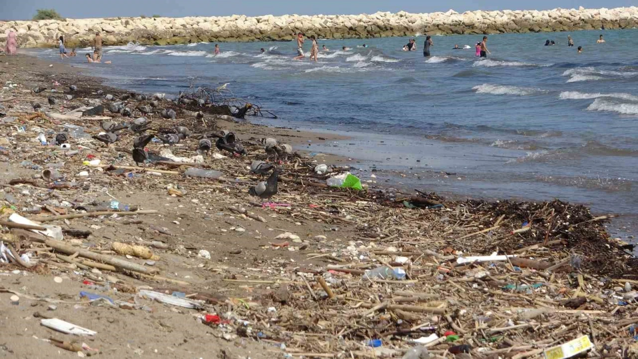 Mersin sahillerindeki kirlilik turizmi tehdit ediyor