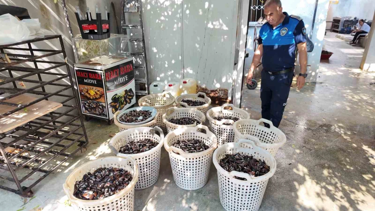Mersinde 200 kilo bozuk midye dolması ele geçirildi