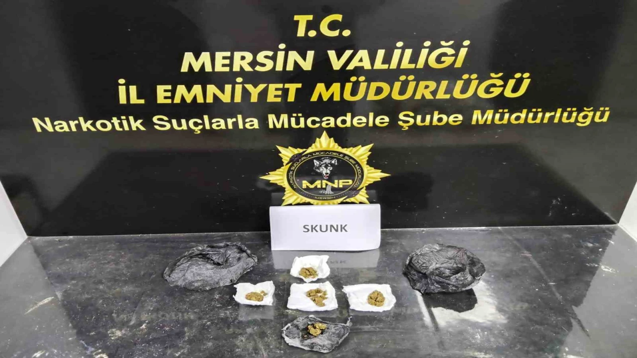 Mersinde sokak satıcılarına operasyon: 2 tutuklama