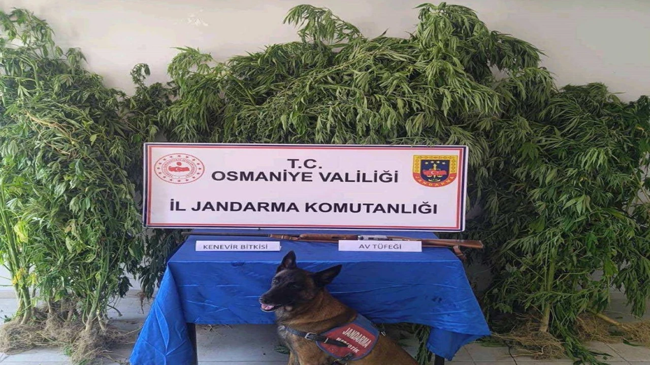 Osmaniyede jandarma bir haftada 128 şüpheli yakaladı